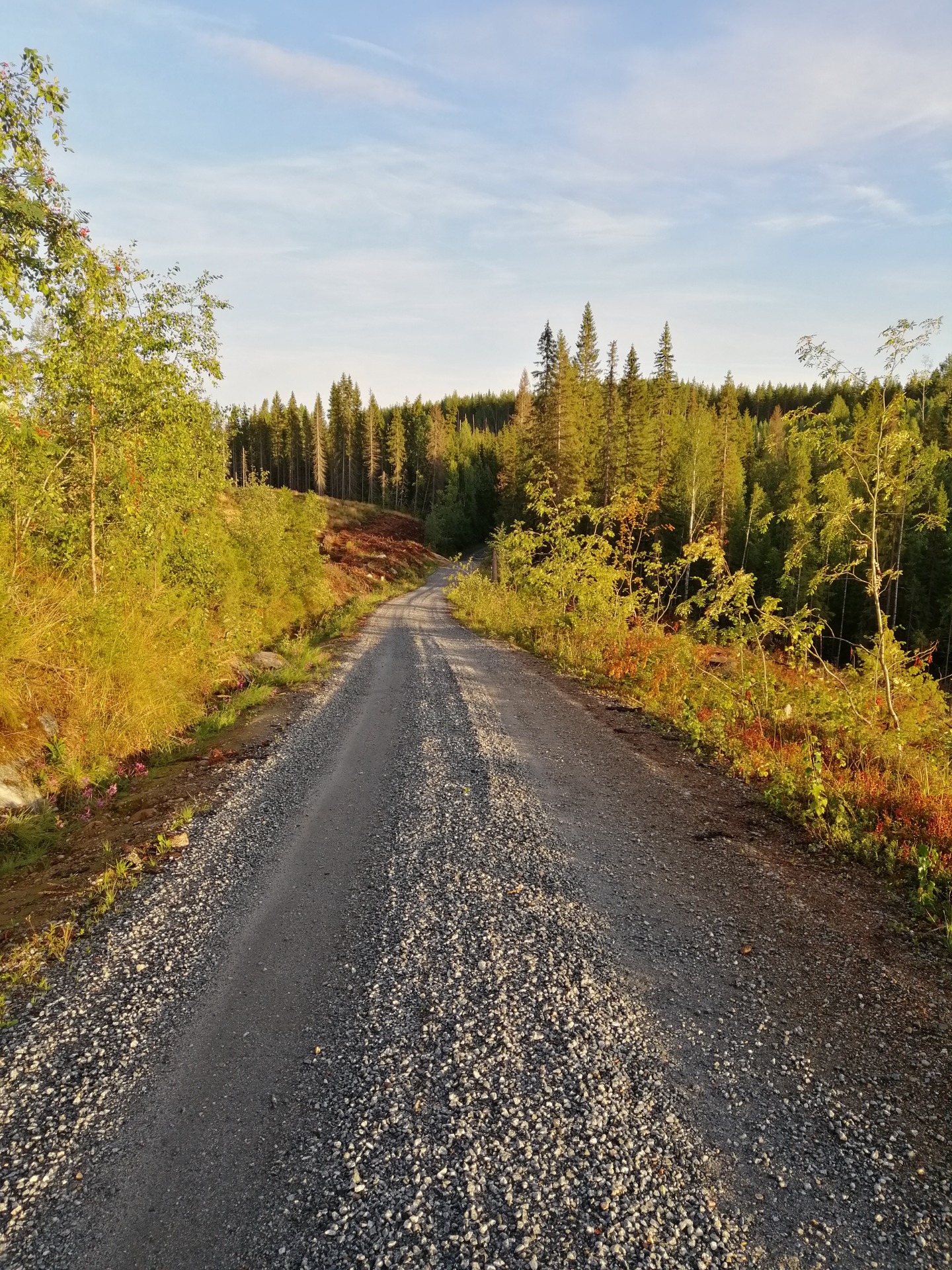 Avartunut Myllypuron rinne